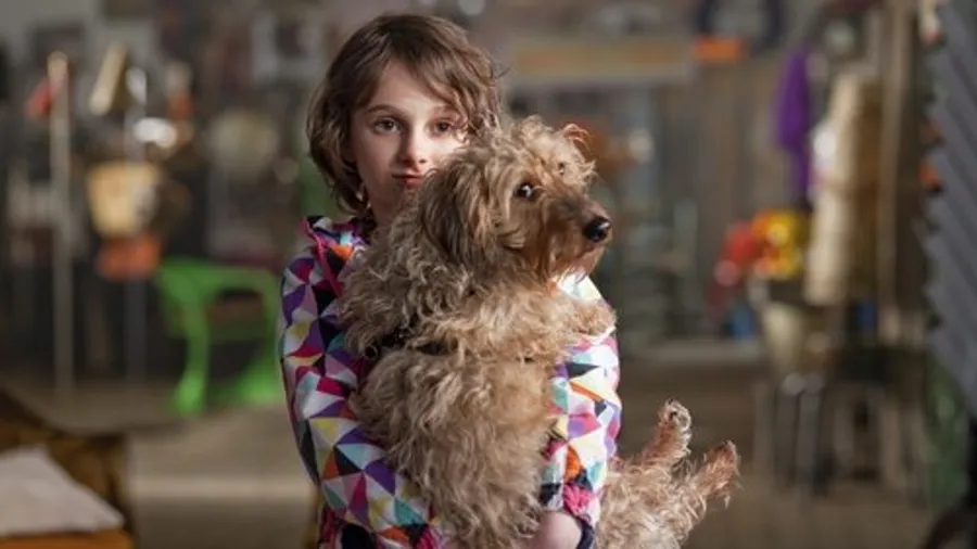 Медиа изображение