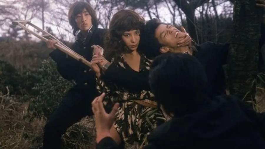 Медиа изображение