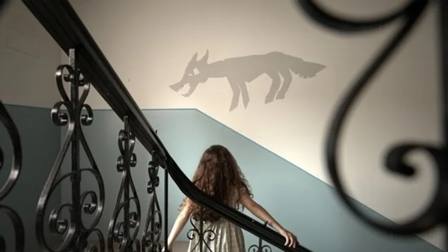 Медиа изображение