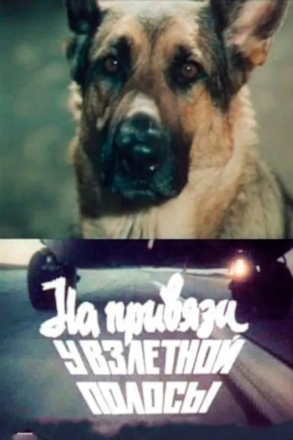 Tethered to the Runway