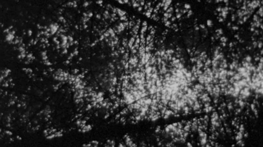 Image 22