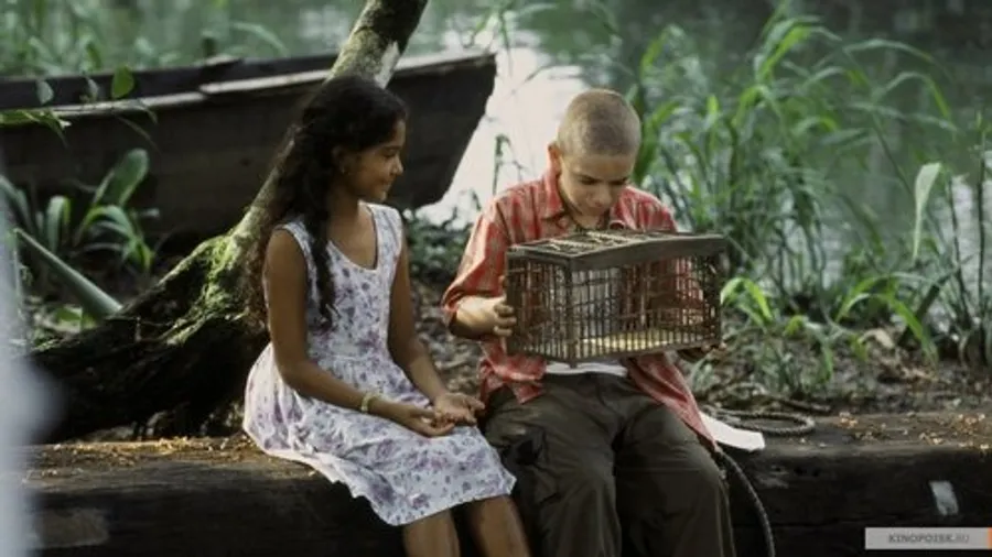 Медиа изображение