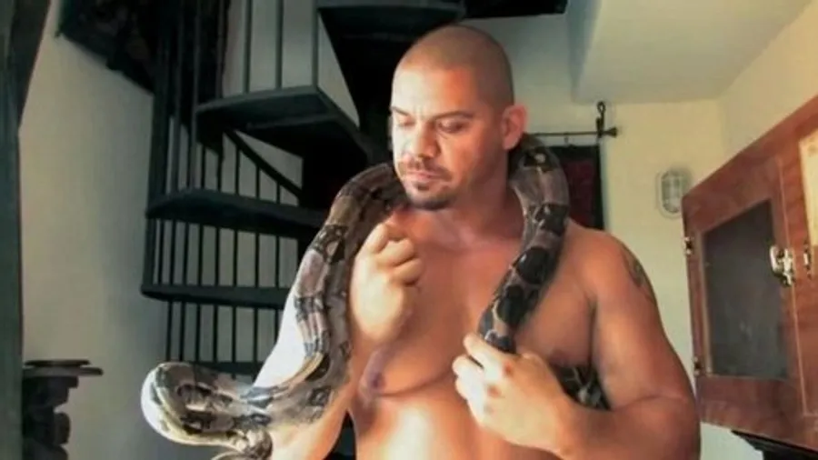 Медиа изображение