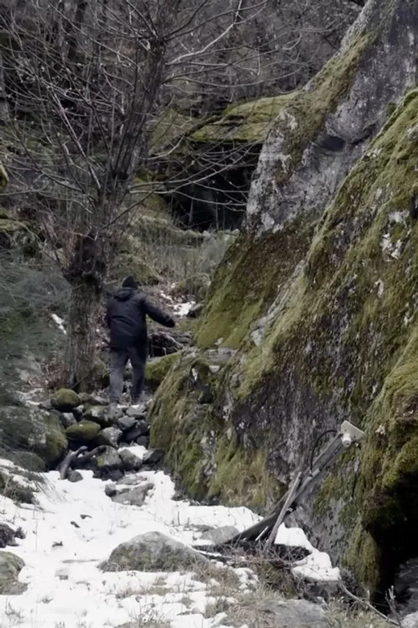 Медиа изображение