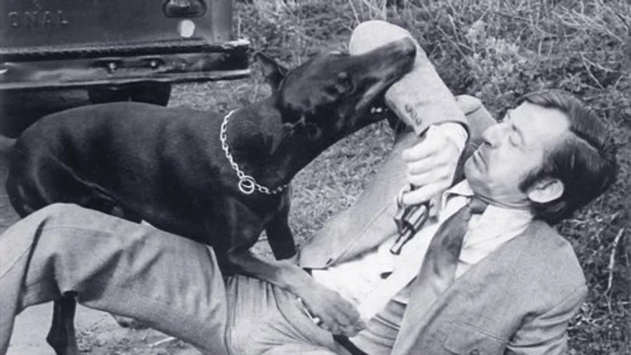 Медиа изображение