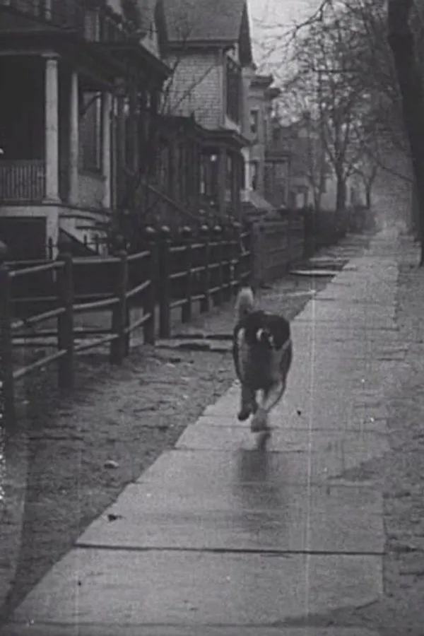Image 0