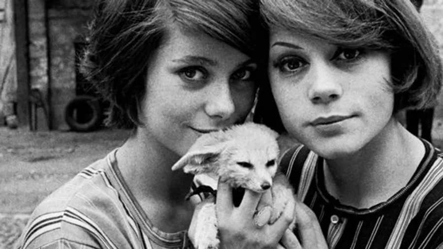 Медиа изображение