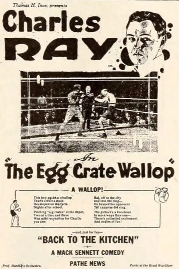 The Egg Crate Wallop