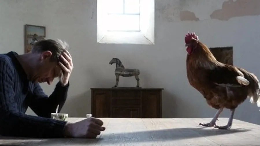 Медиа изображение