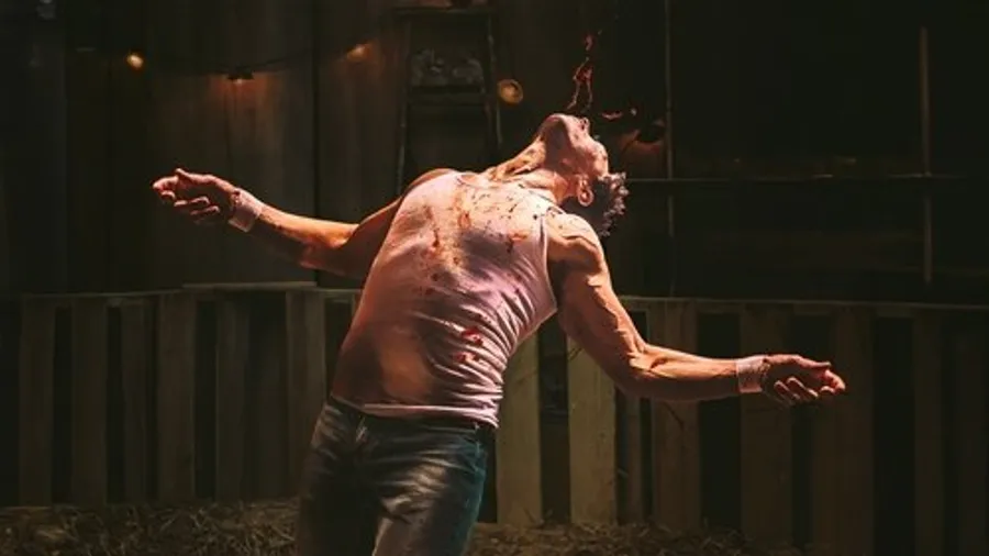 Медиа изображение