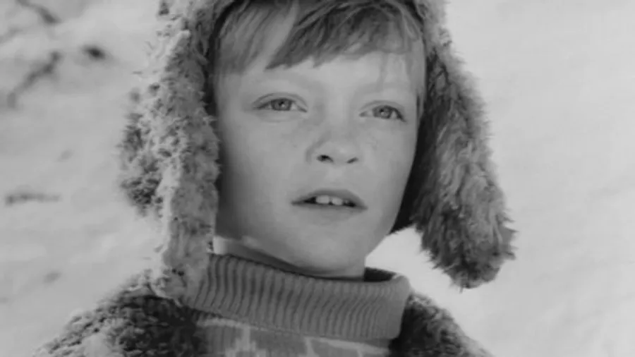 Медиа изображение