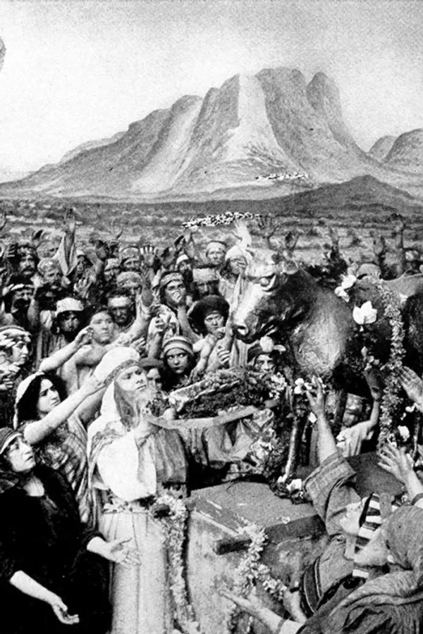 Медиа изображение