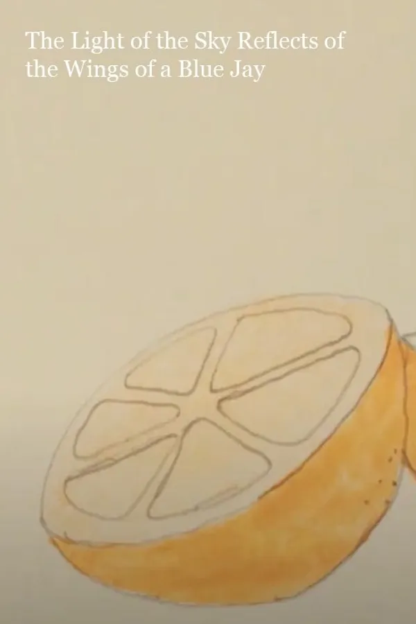 The Light of the Sky Reflects off the Wings of a Blue Jay