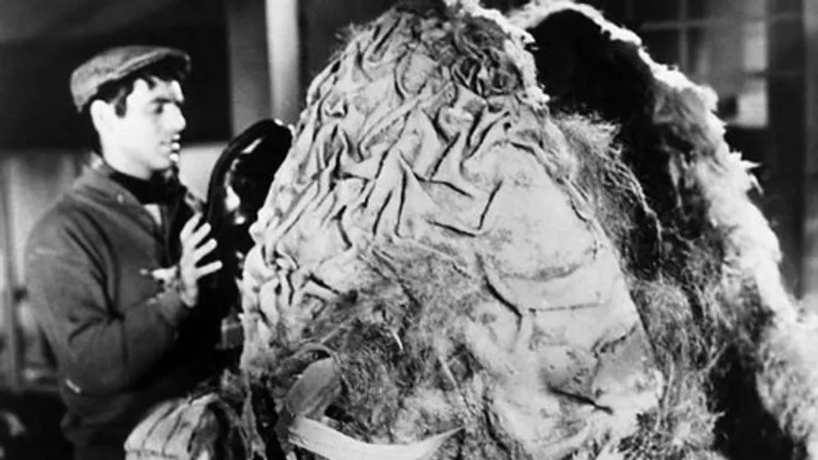 Медиа изображение