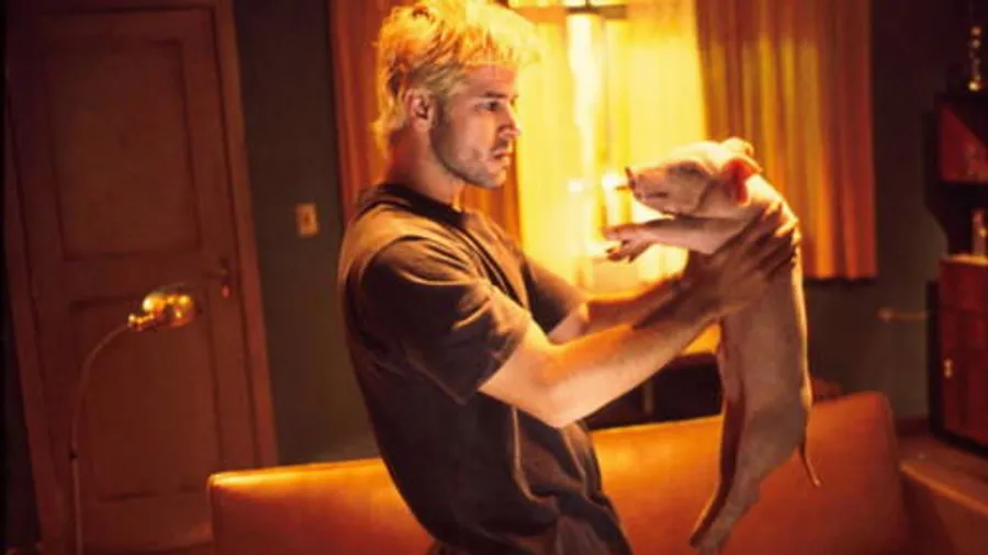 Медиа изображение