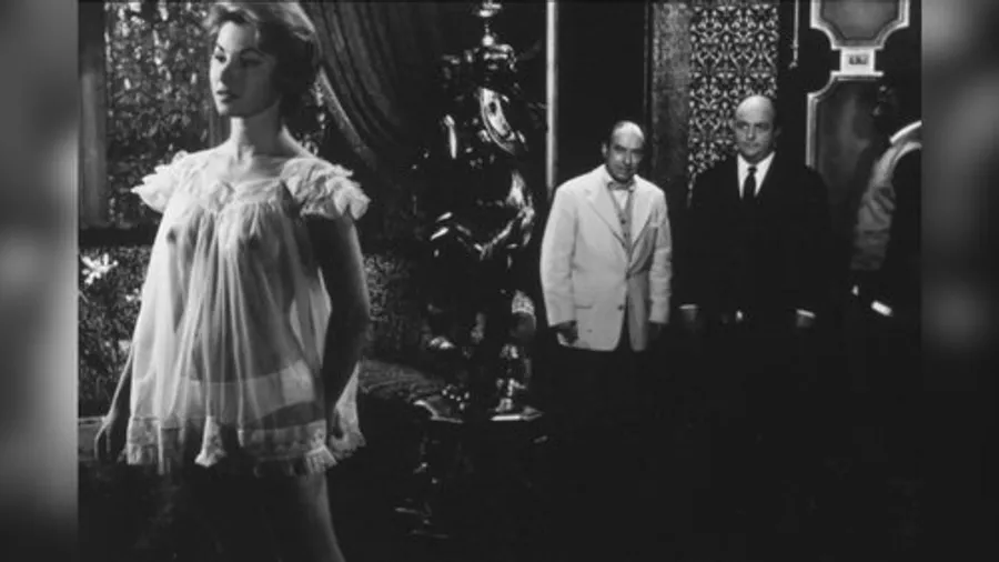 Image 4