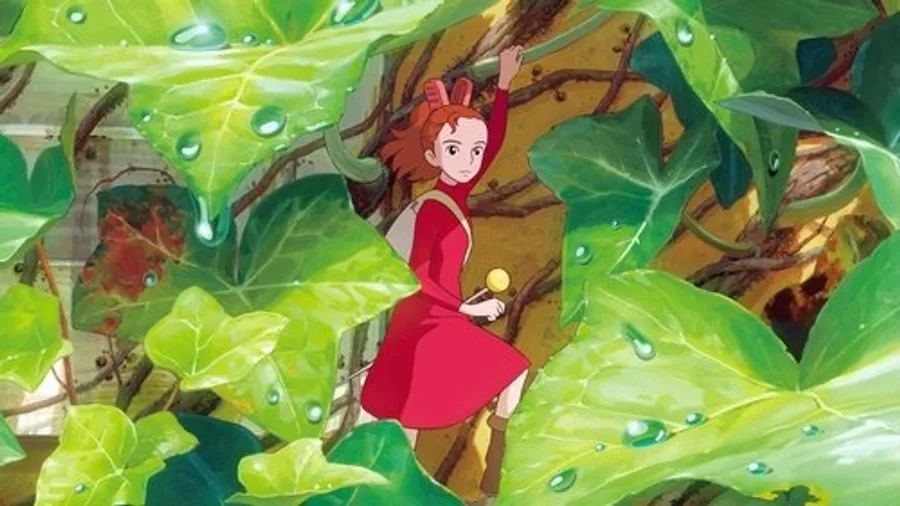 Image 0