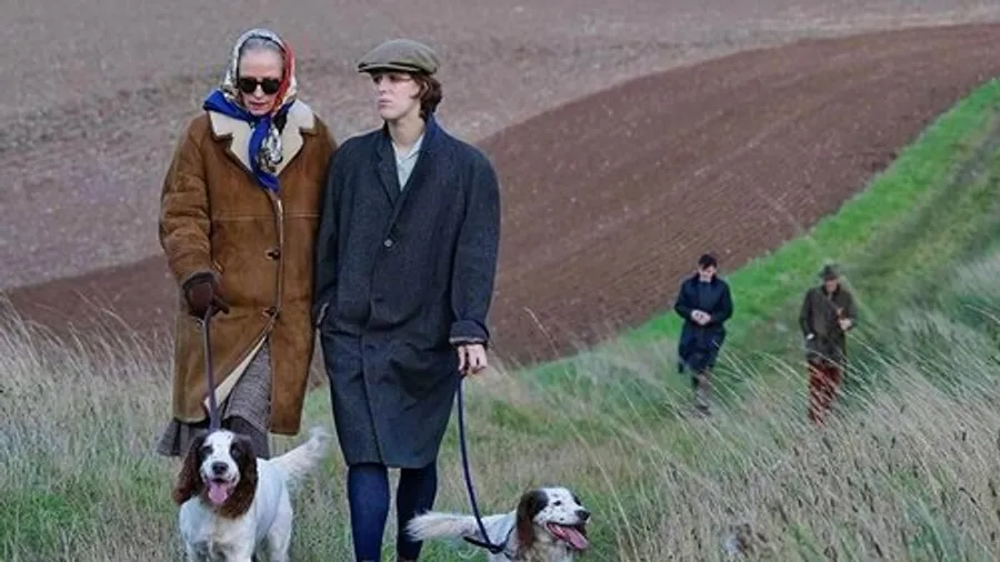 Медиа изображение