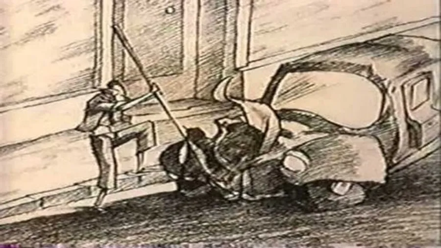 Image 11
