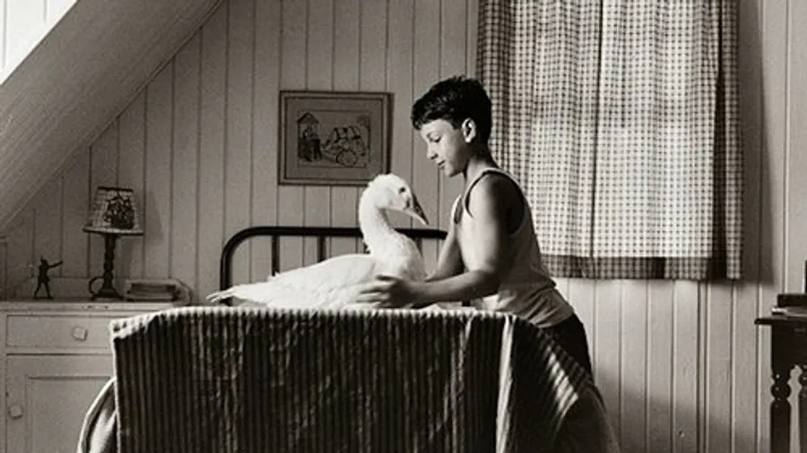 Медиа изображение