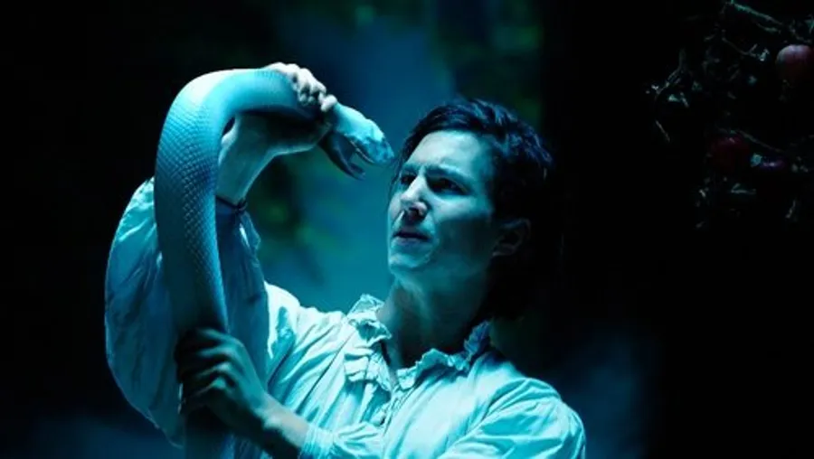 Медиа изображение