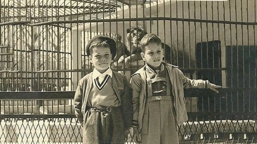 Image 1
