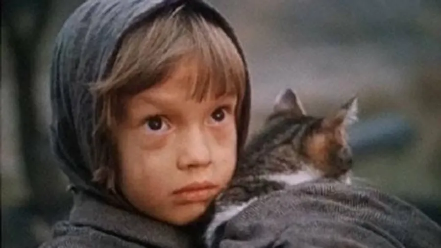 Медиа изображение