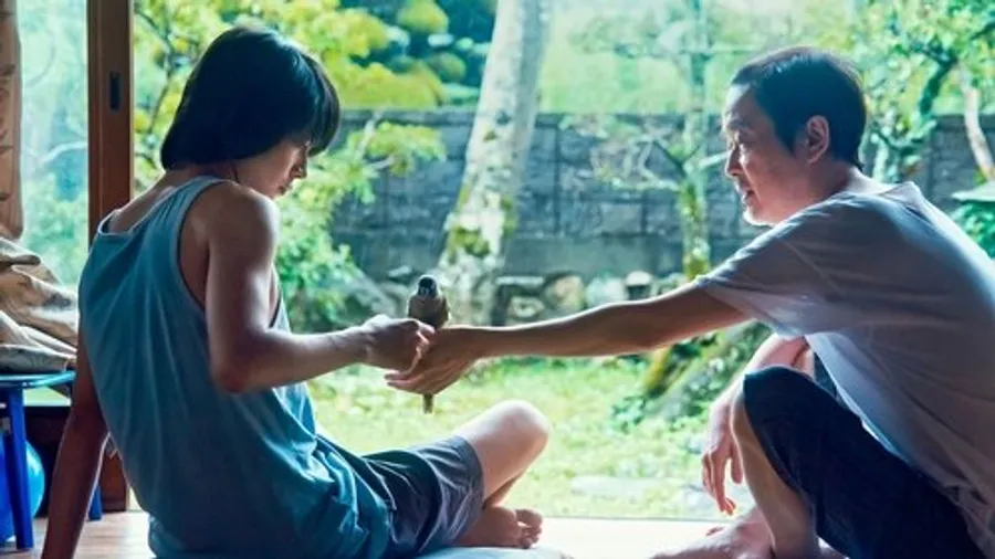 Медиа изображение