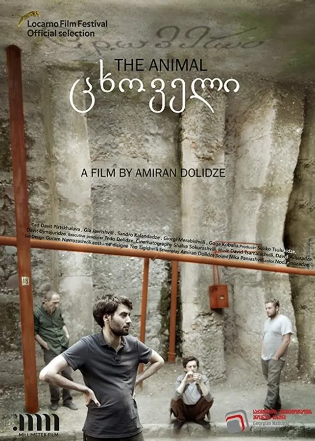 Медиа изображение