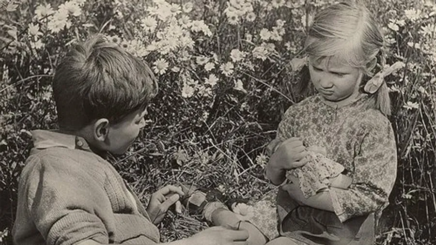 Медиа изображение