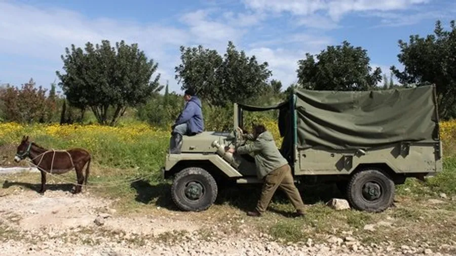 Медиа изображение