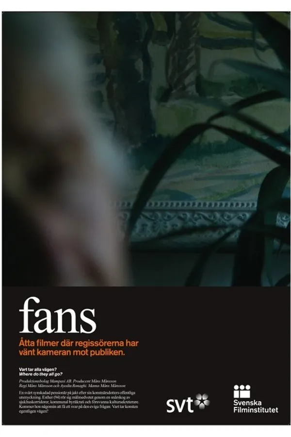 Where do they all go?