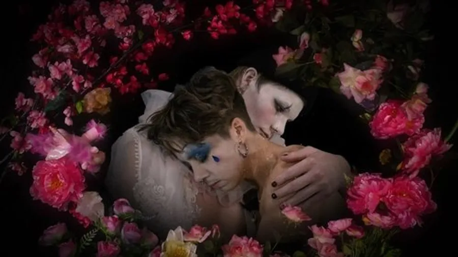 Медиа изображение