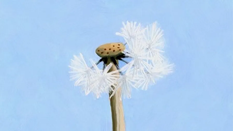 Image 0