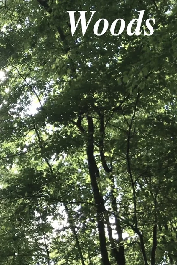 Woods