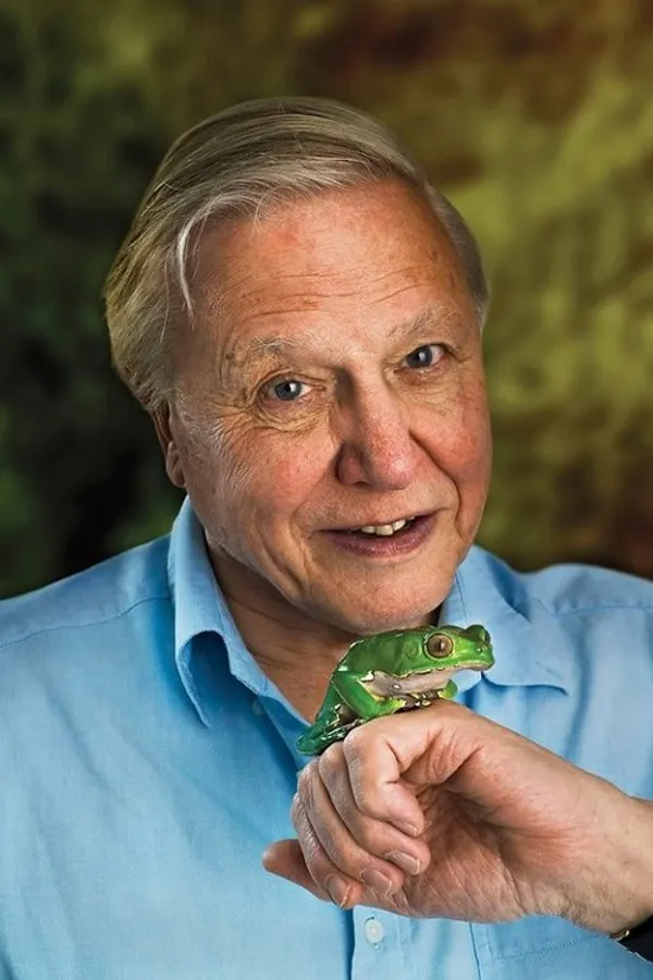 Аватар персоны David Attenborough