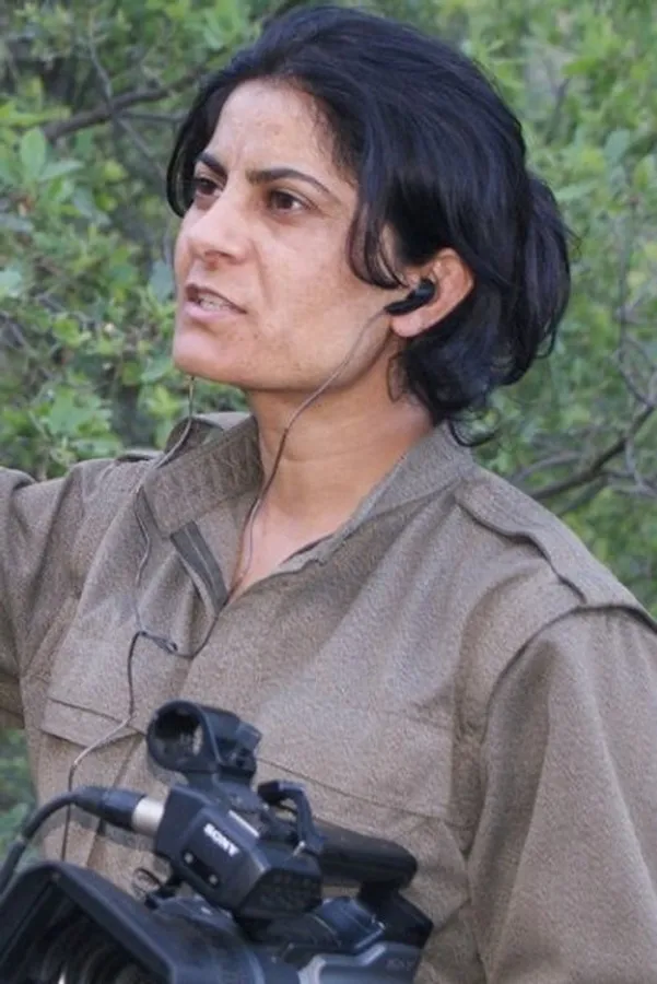 Аватар персоны Dêrsîm Zêrevan