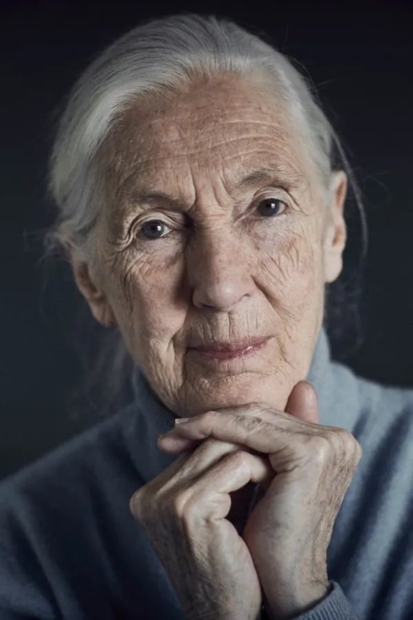 Аватар персоны Jane Goodall